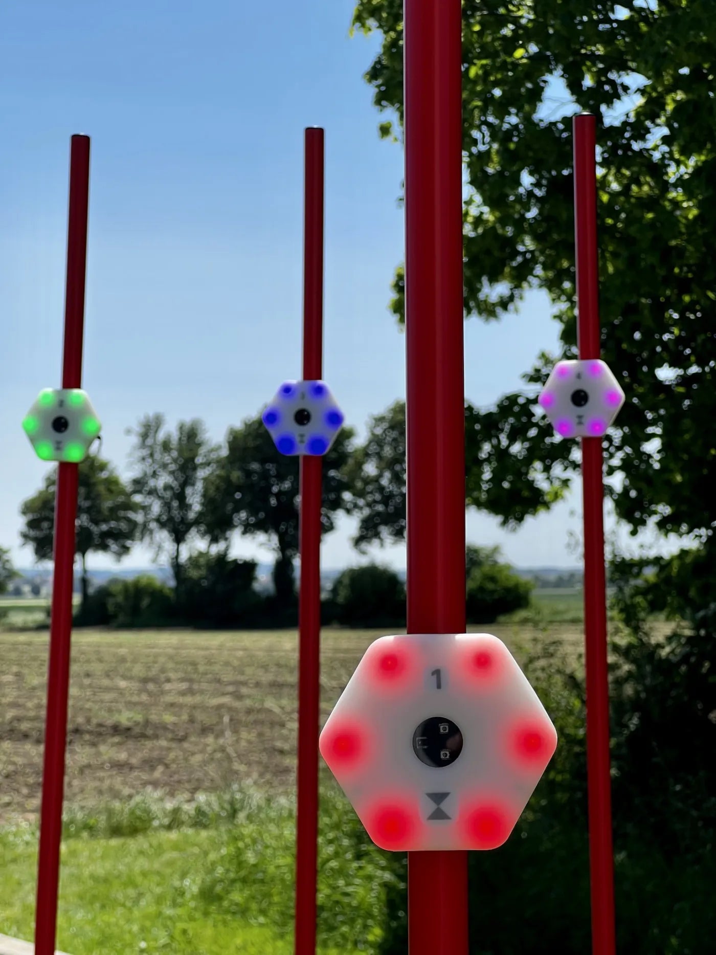 Vier Luxis an roten Slalomstangen auf dem Außenplatz, jedes leuchtet in einer eigenen Farbe